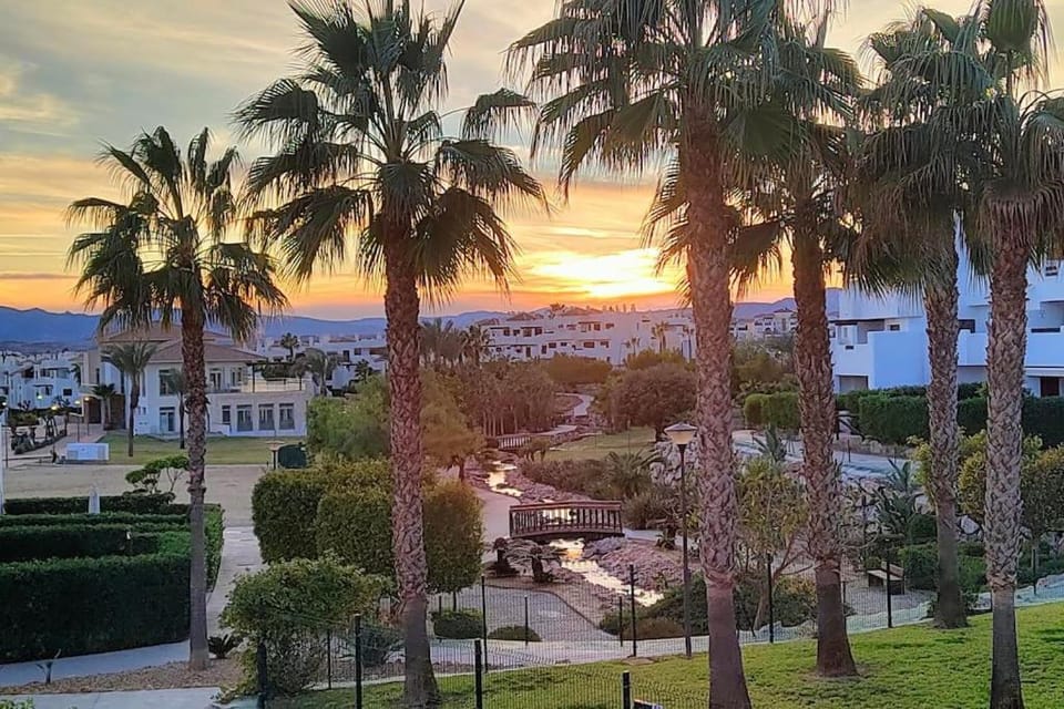 Natural landscape, Garden, Garden view, Sunset