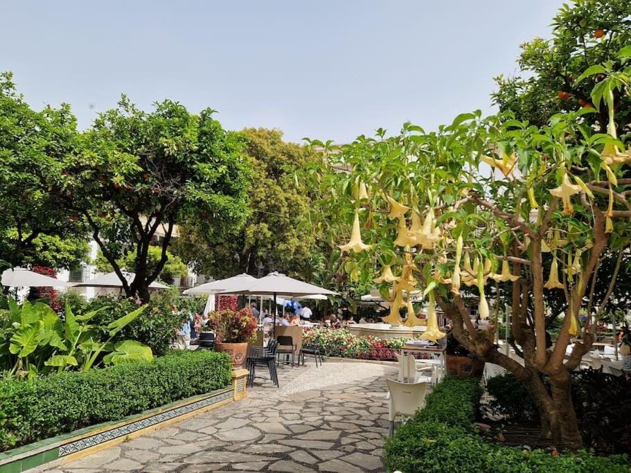 New Chic apartment walk to beach Estepona RDR387 Apartment in Estepona