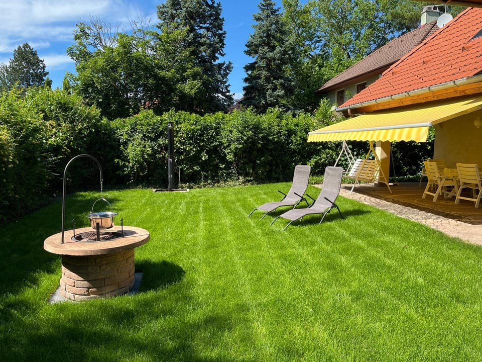 Natural landscape, Garden, Garden, Garden view, sunbed