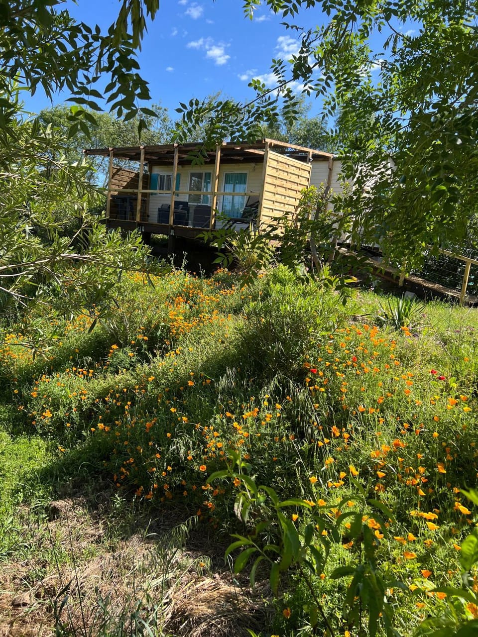 Bungalow bleu Campground/ 
RV Resort in Roquebrune-sur-Argens