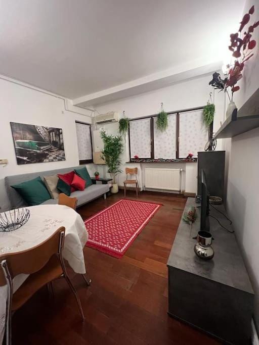 Charming and Cozy apartment in Bucharest center Apartment in Bucharest