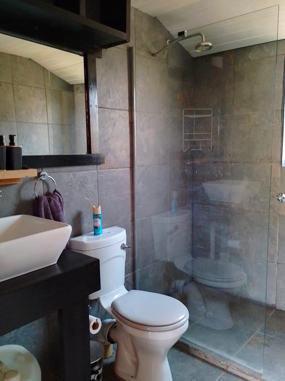 Shower, Toilet, Bathroom