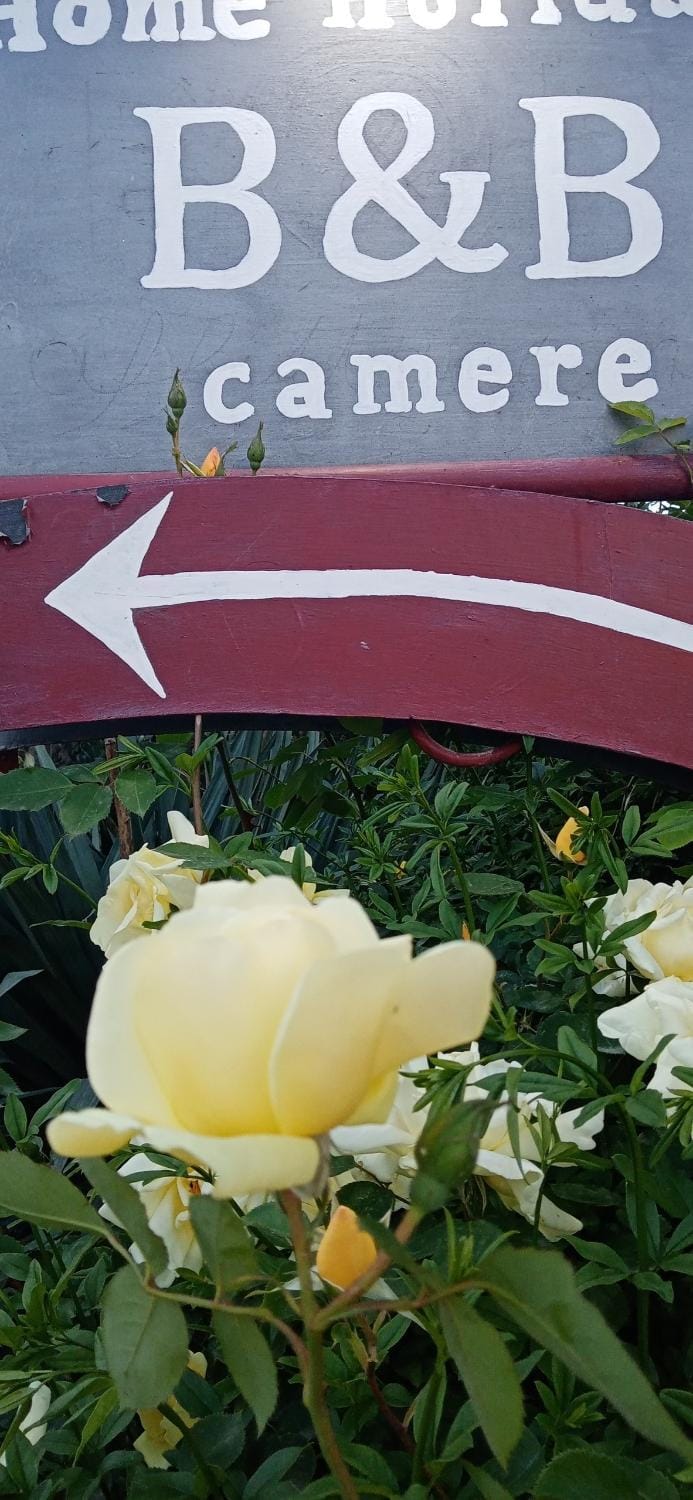 B&B Home Holiday Villa delle Acacie agriturismo Farm Stay in Basilicata