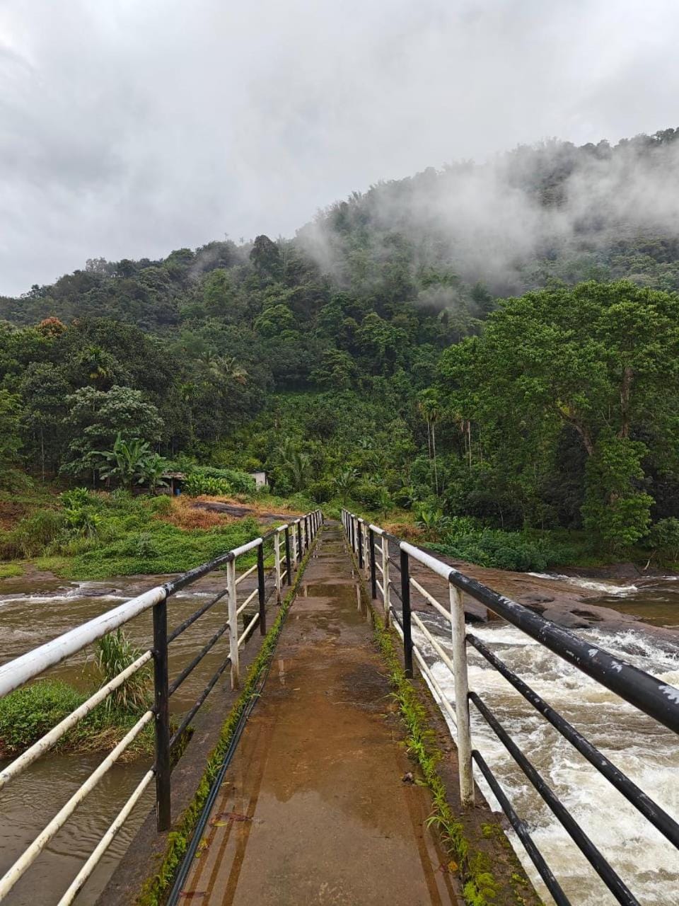 The Serene Cottage Chalet in Kerala