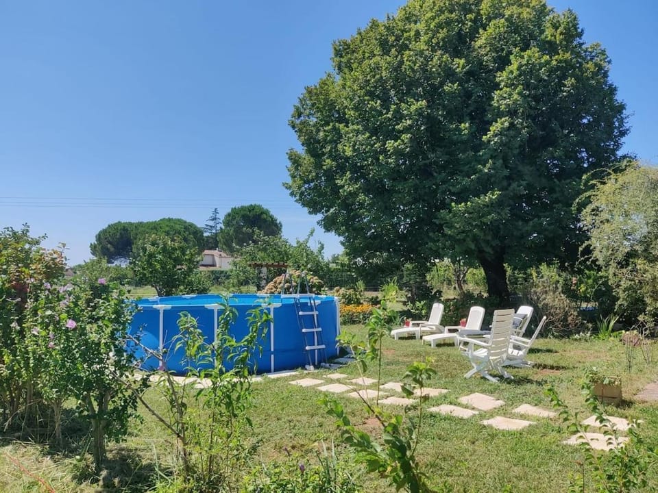 Summer, Garden view, Pool view, Swimming pool, Swimming pool, sunbed