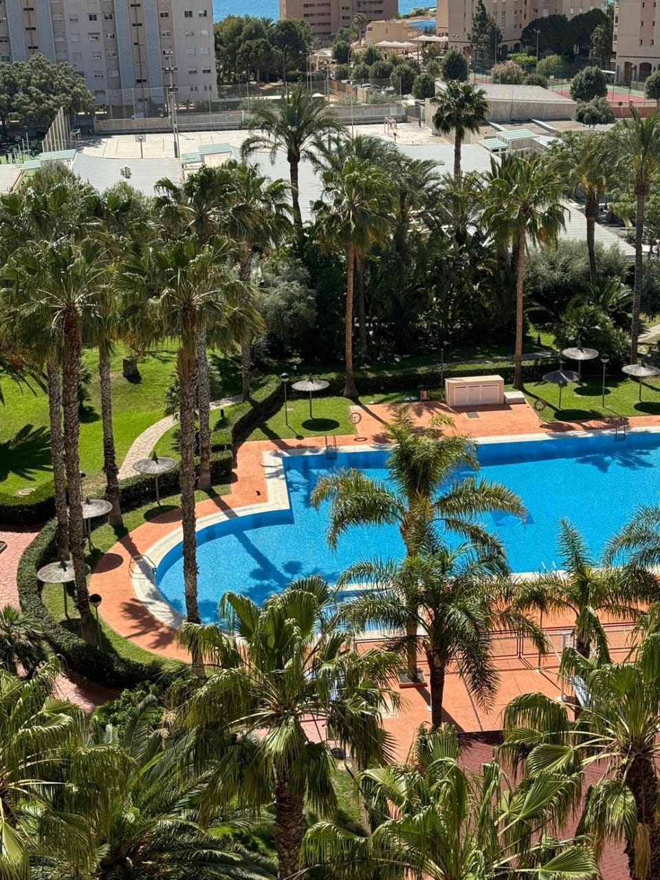 Garden, Garden view, Pool view, Swimming pool