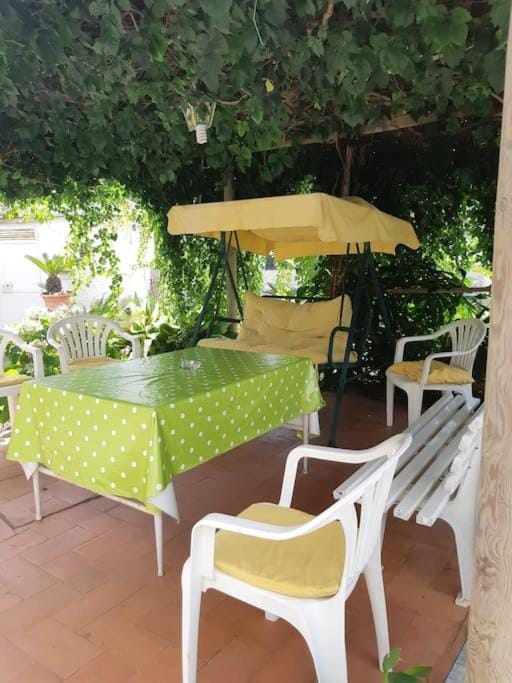 FM Apartaments Forio Apartment in Forio