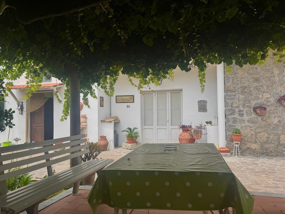 FM Apartaments Forio Apartment in Forio