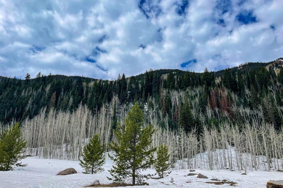 Timber Falls Hideaway Apartment in Vail