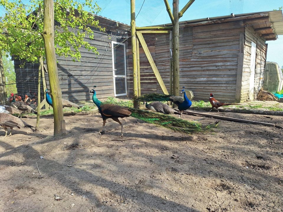 Węgorzewo- Dom nad stawem House in Lithuania