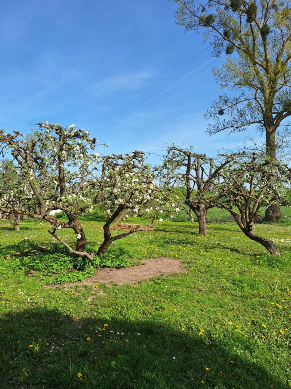 Węgorzewo- Dom nad stawem House in Lithuania