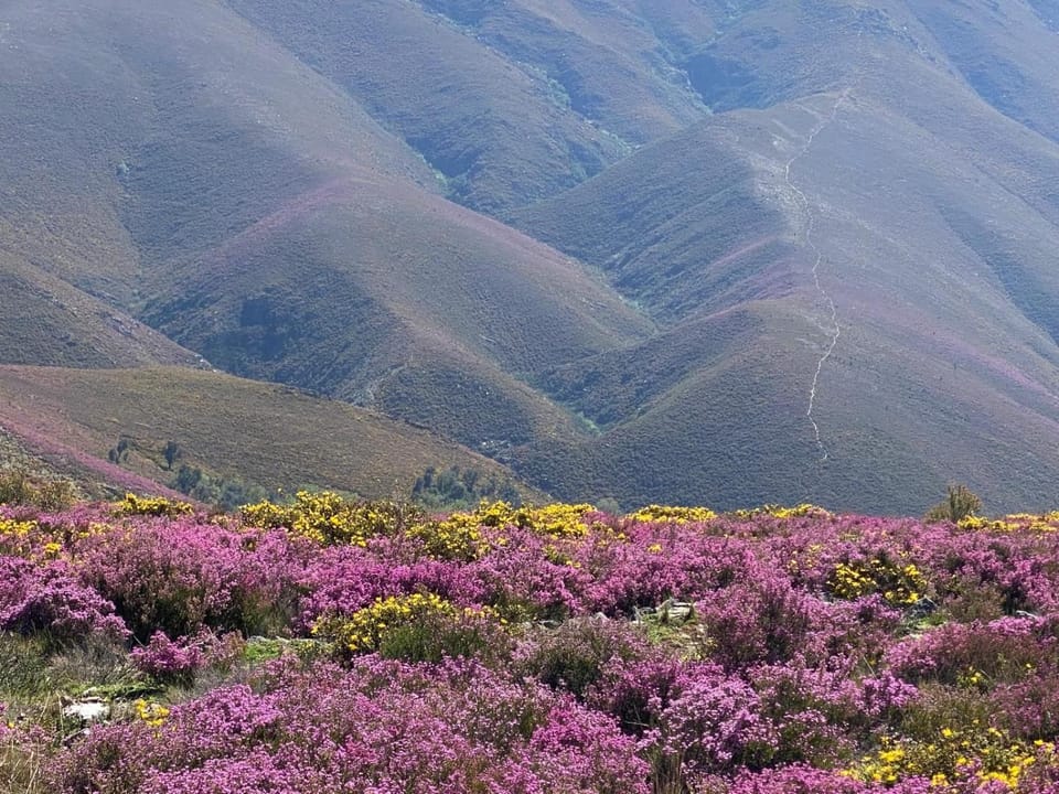 Spring, Natural landscape, Mountain view