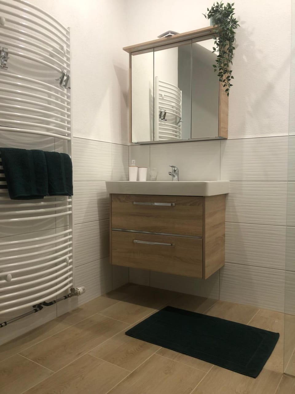 Traumhaftes Studioappartement Apartment in Saarland, 66, Germany
