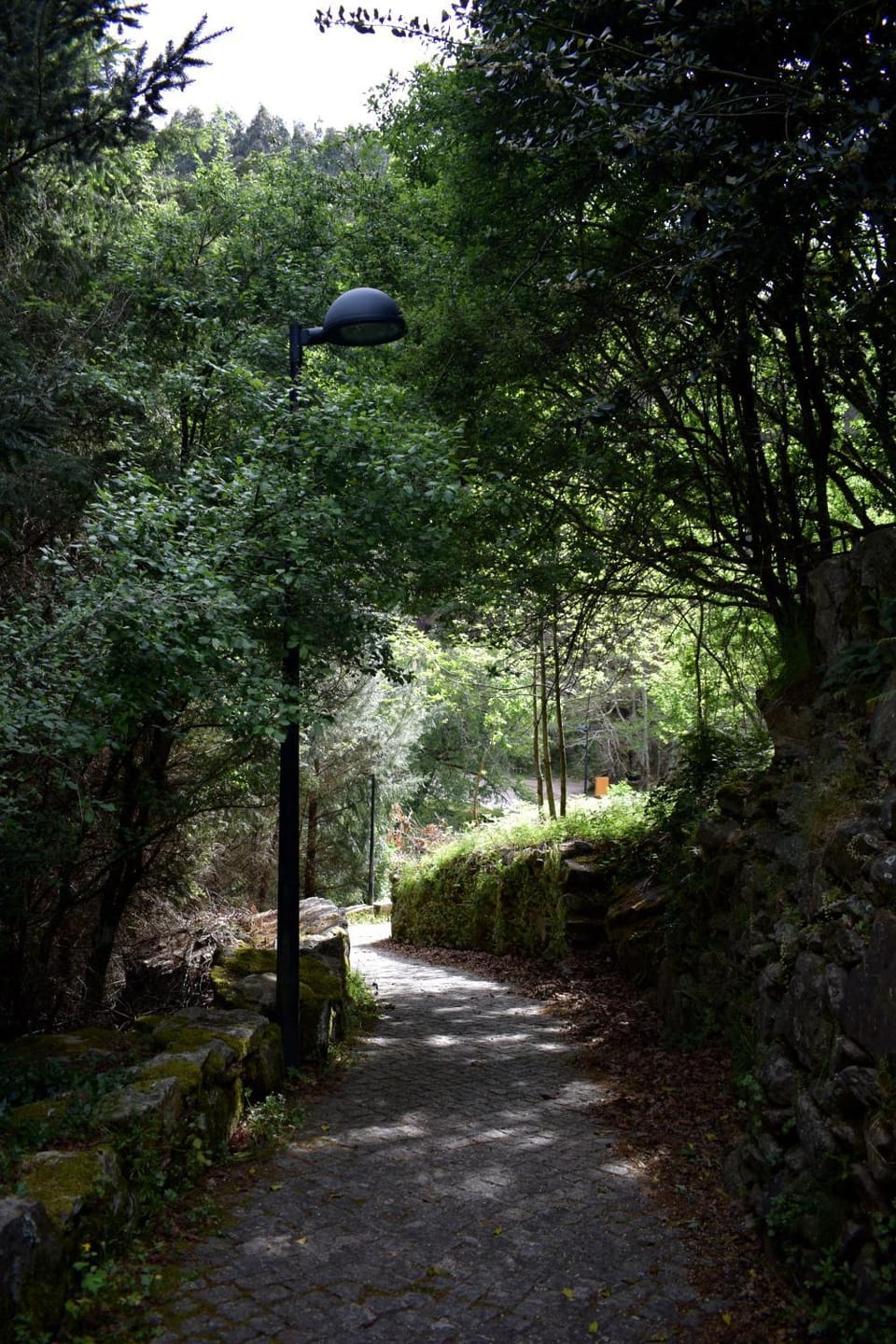 Hiking