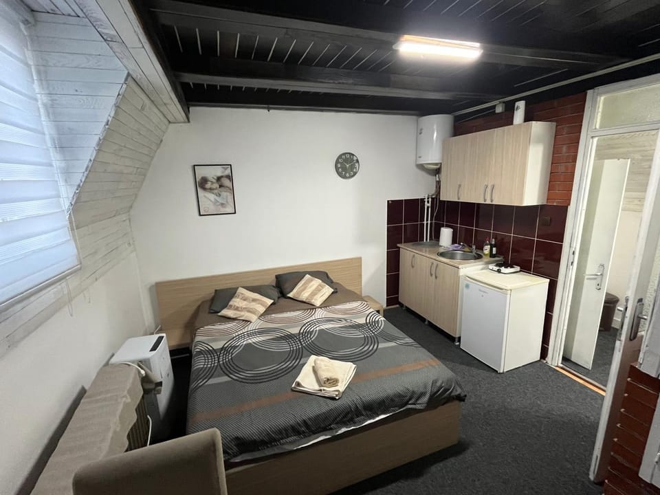 Stan na dan Raška Apartment in Serbia