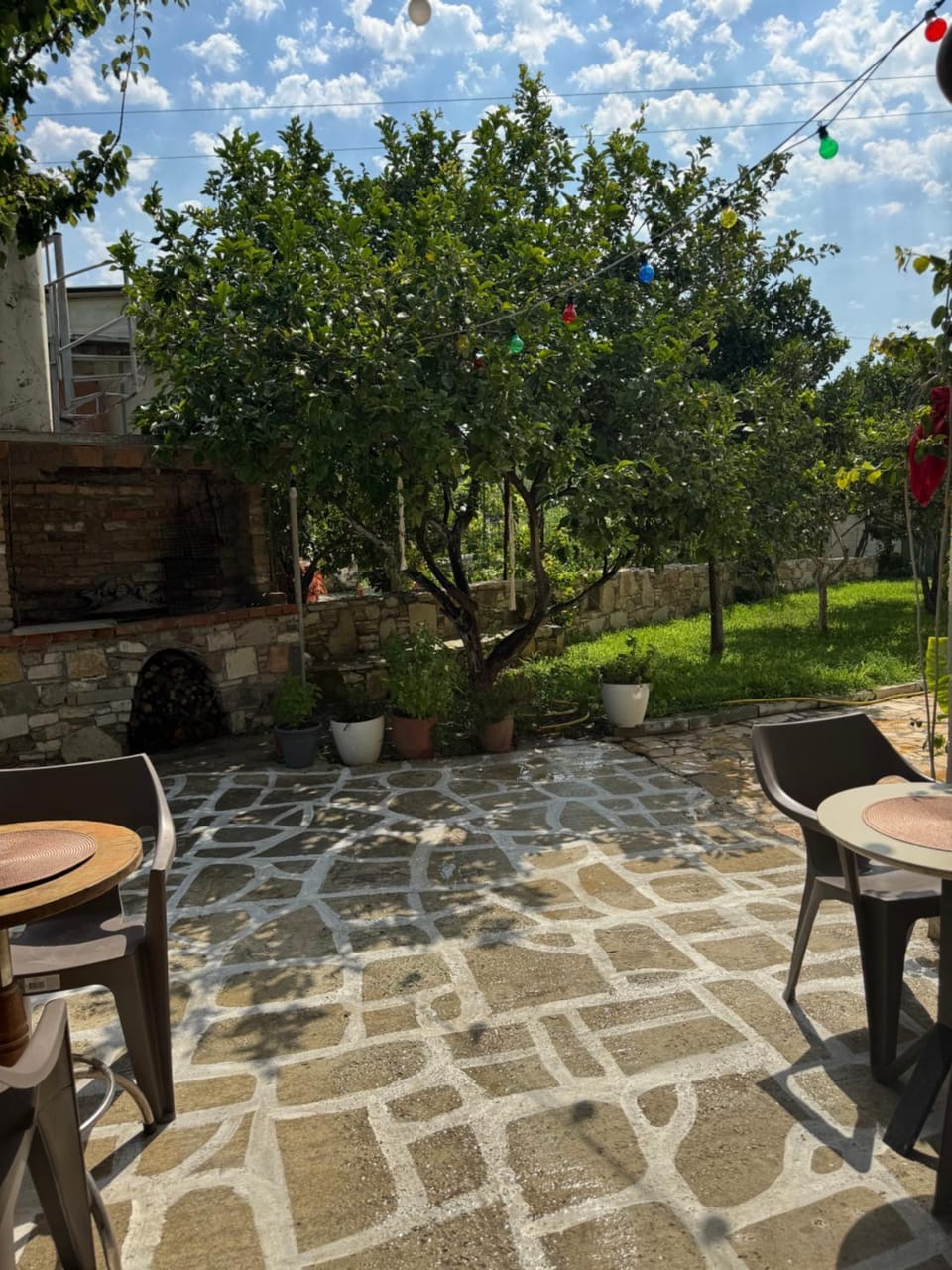 Spring, Garden, Garden view