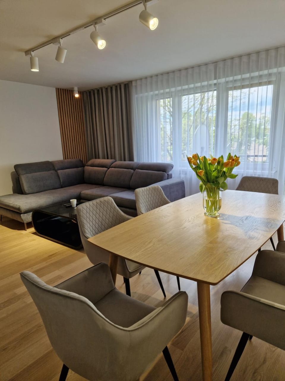 Communal lounge/ TV room, Living room, Seating area, Dining area
