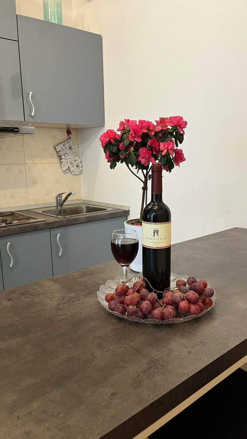 Casa del Mare Apartment in Dubrovnik-Neretva County