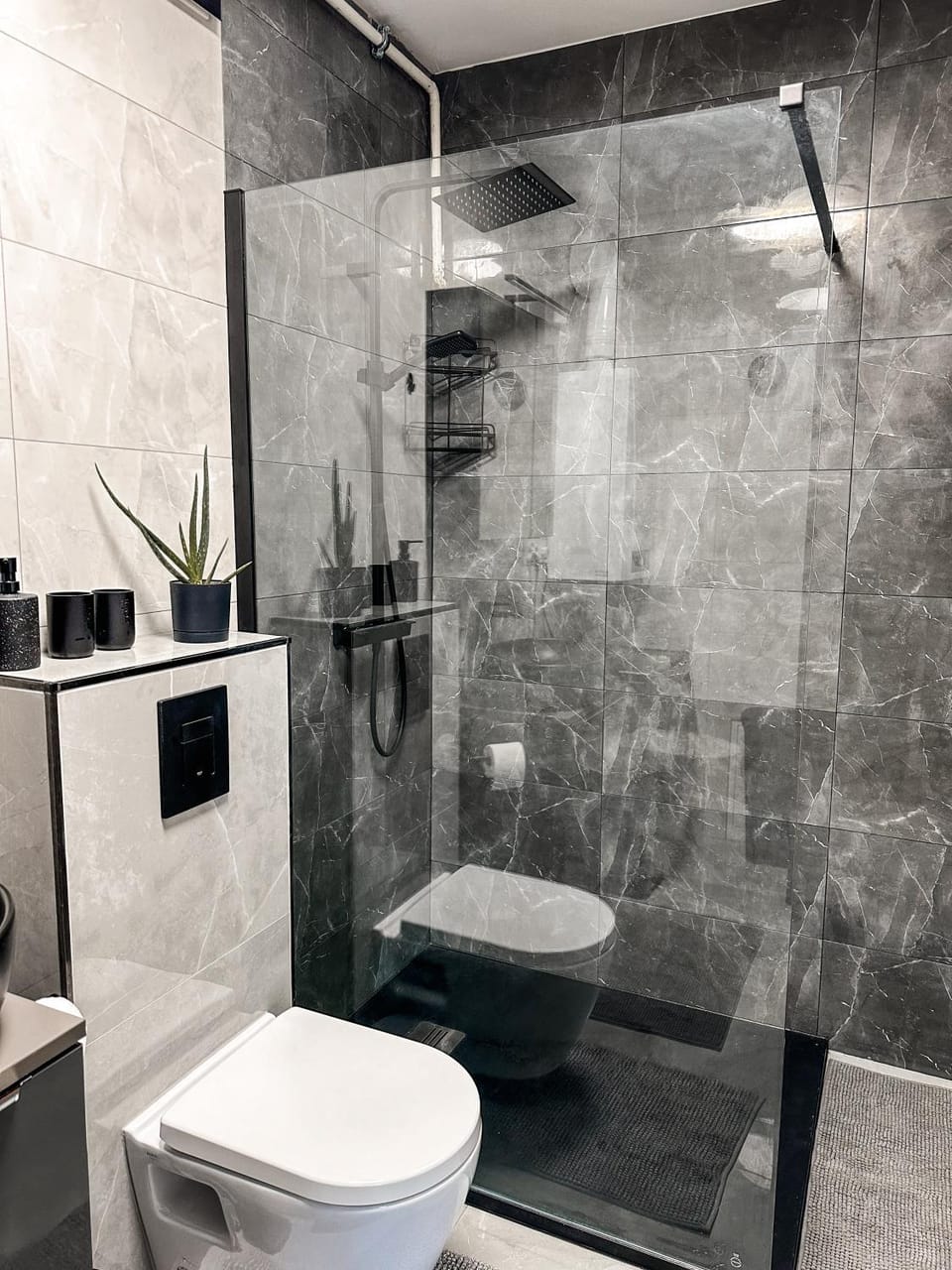 Shower, Toilet