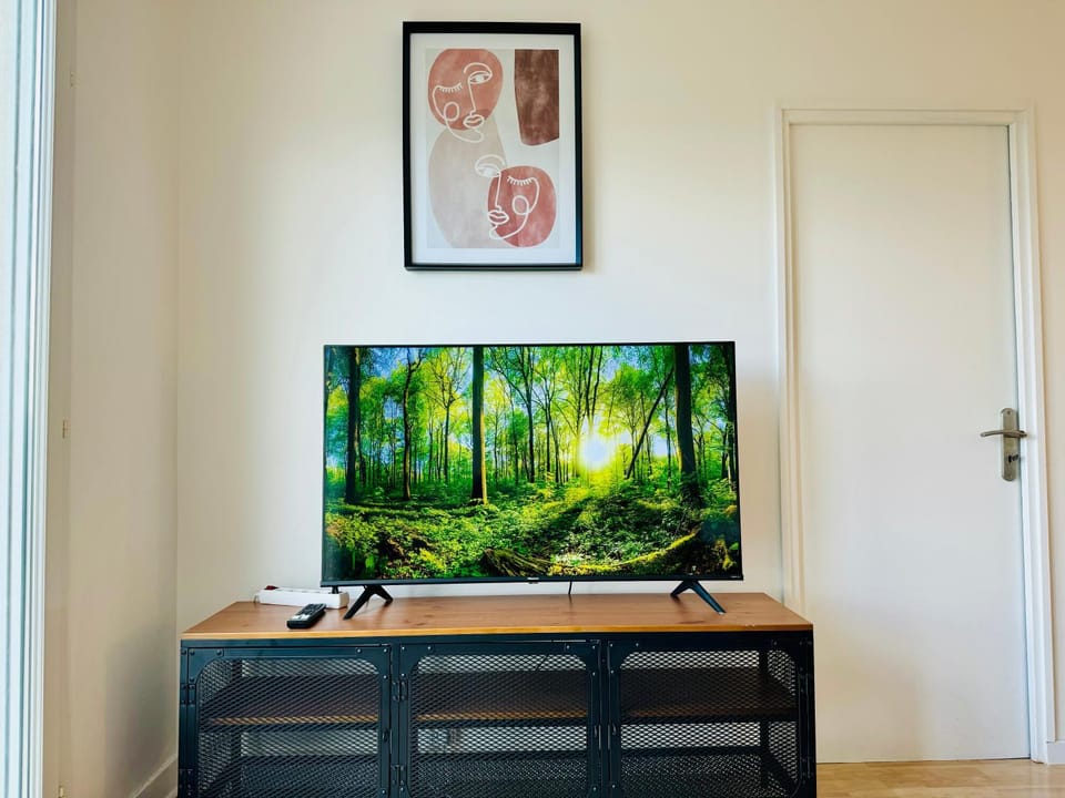 TV and multimedia