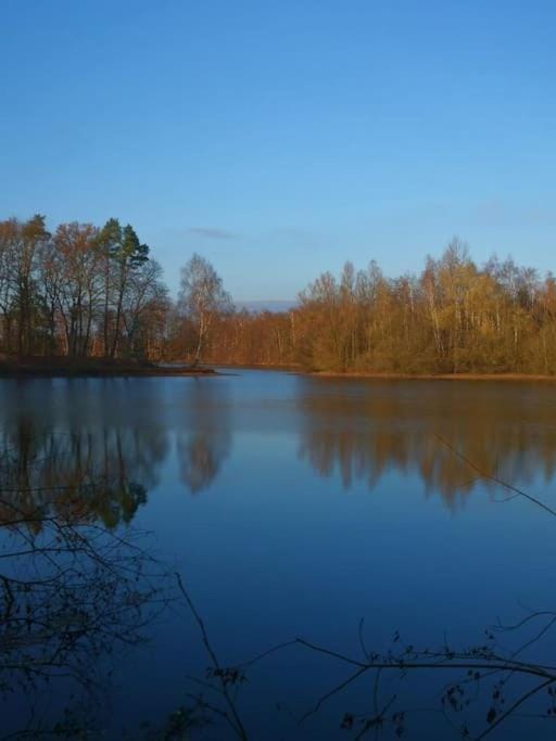 Natural landscape