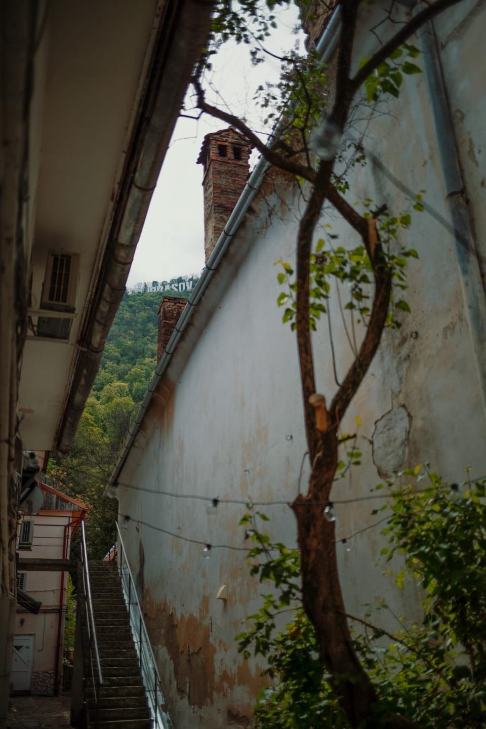 Garden, Garden, Balcony/Terrace, Garden view