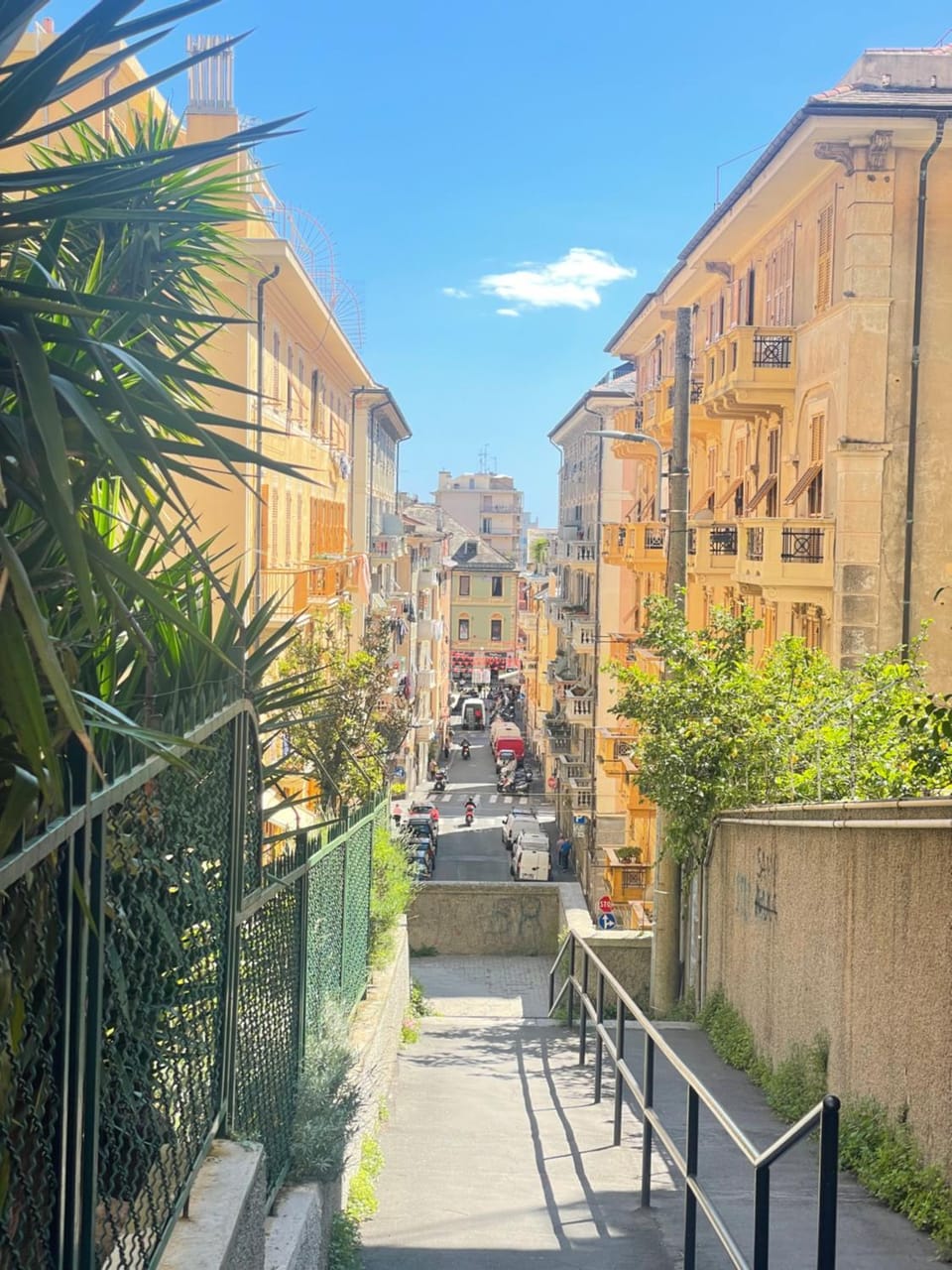 Neighbourhood, City view