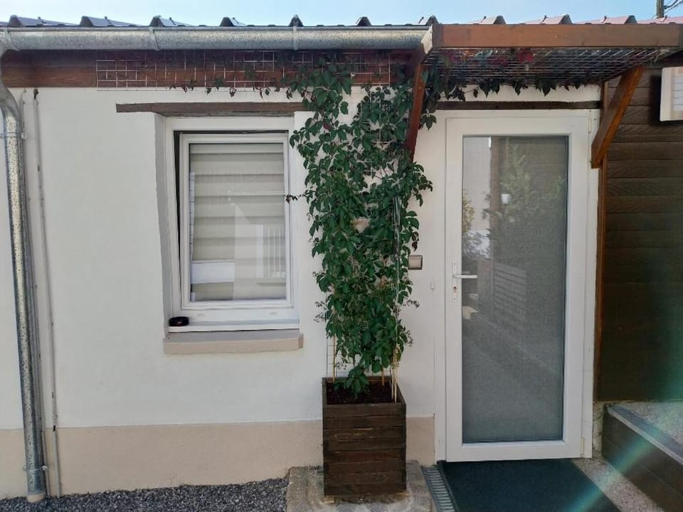 Agréable chambre pour 2 avec salle de bain et terrasse privées Vacation rental in Grand Est