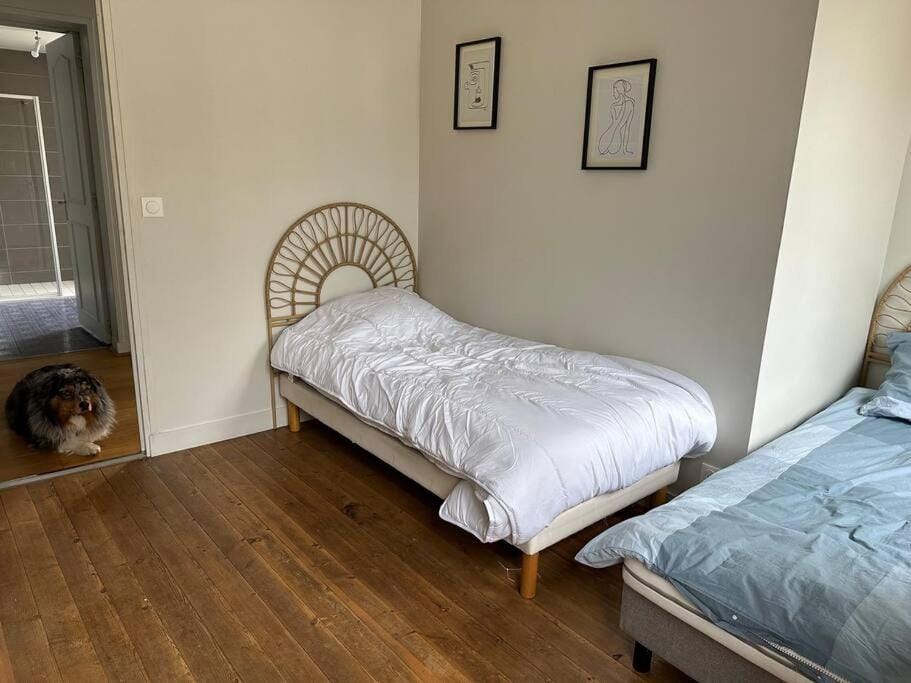 Maison centre historique House in Bayeux