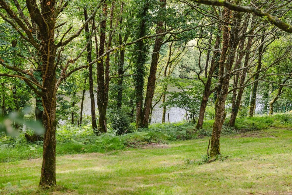 KOADOu Nature lodge in Brittany