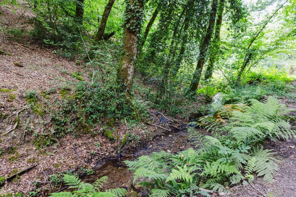 KOADOu Nature lodge in Brittany