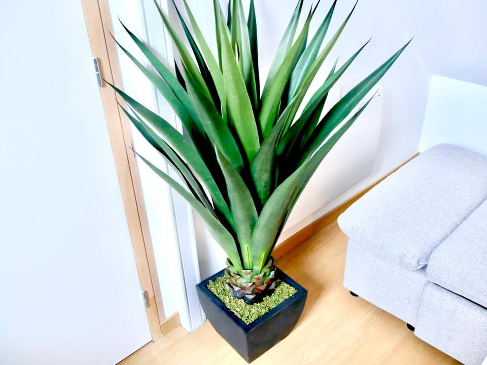 Oasis Love Apartment in Île-de-France
