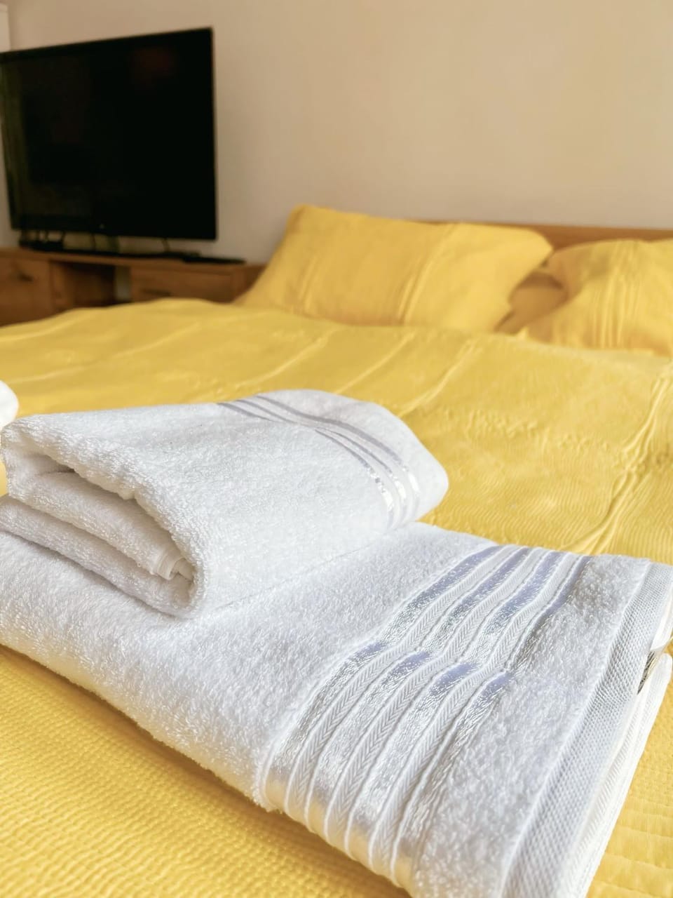 Unik's Studio Apartment Apartment in North Macedonia