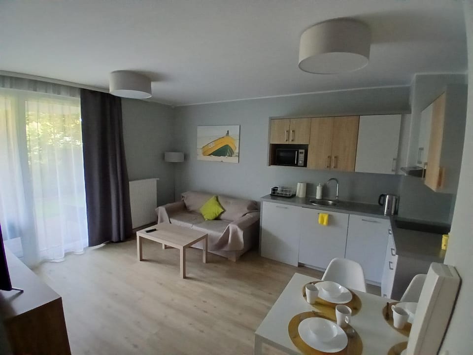 Kitchen or kitchenette, Living room, Dining area, stove
