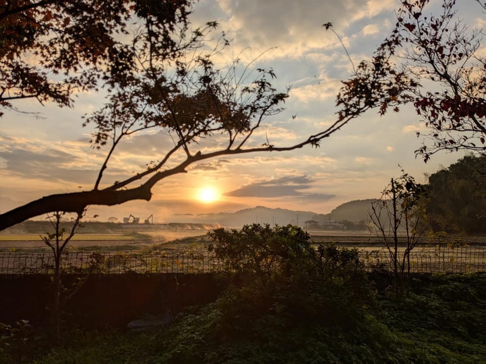 Sunrise