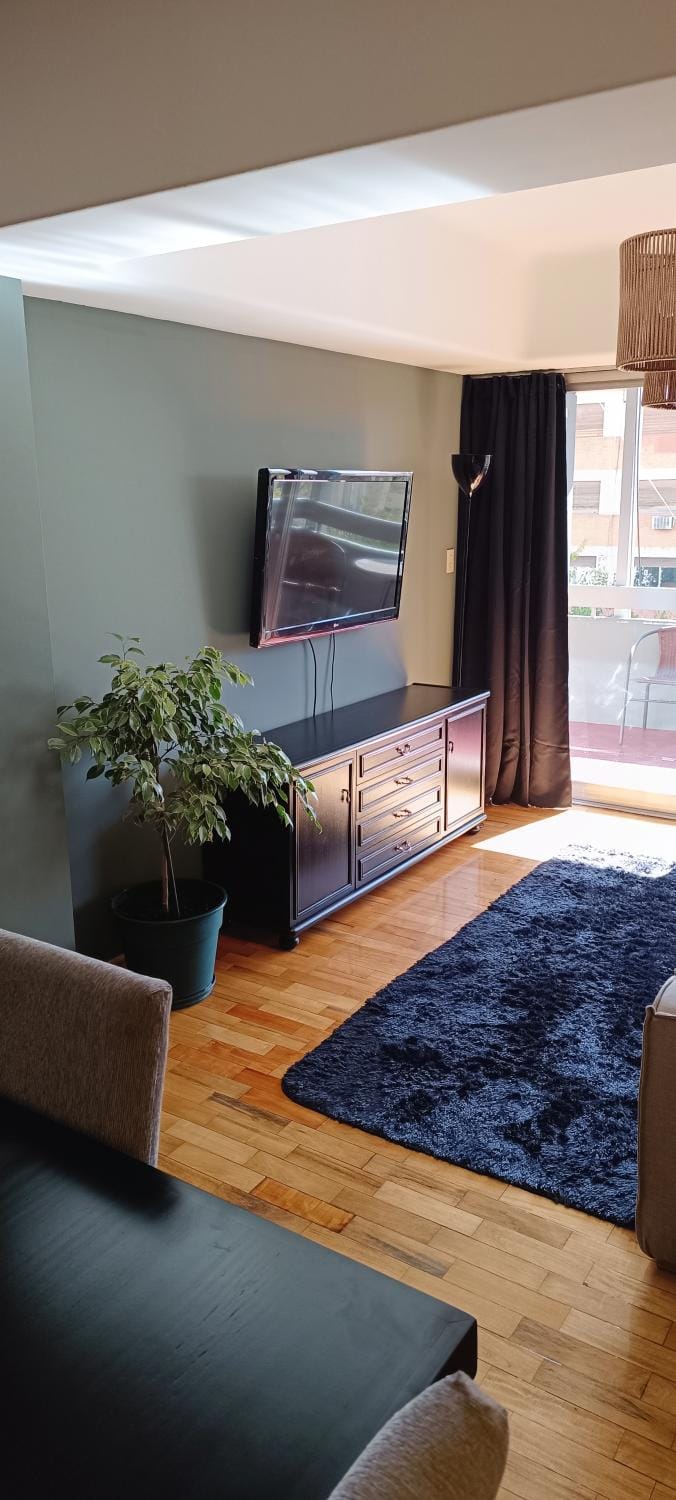 Departamento en peatonal, centro de Mendoza!! Apartment in Mendoza