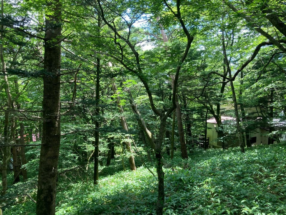 Day, Natural landscape