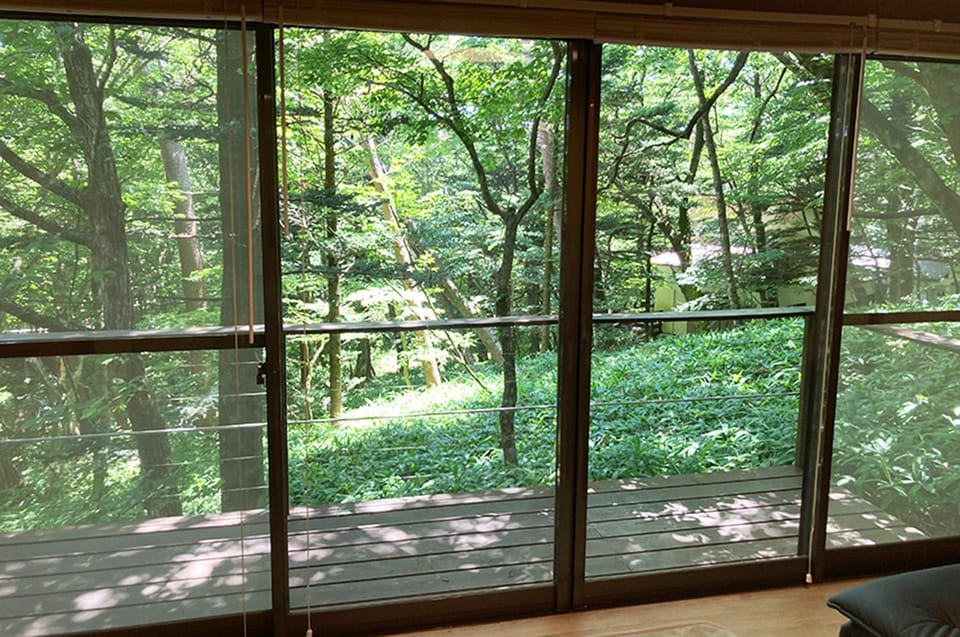 Natural landscape, Garden view