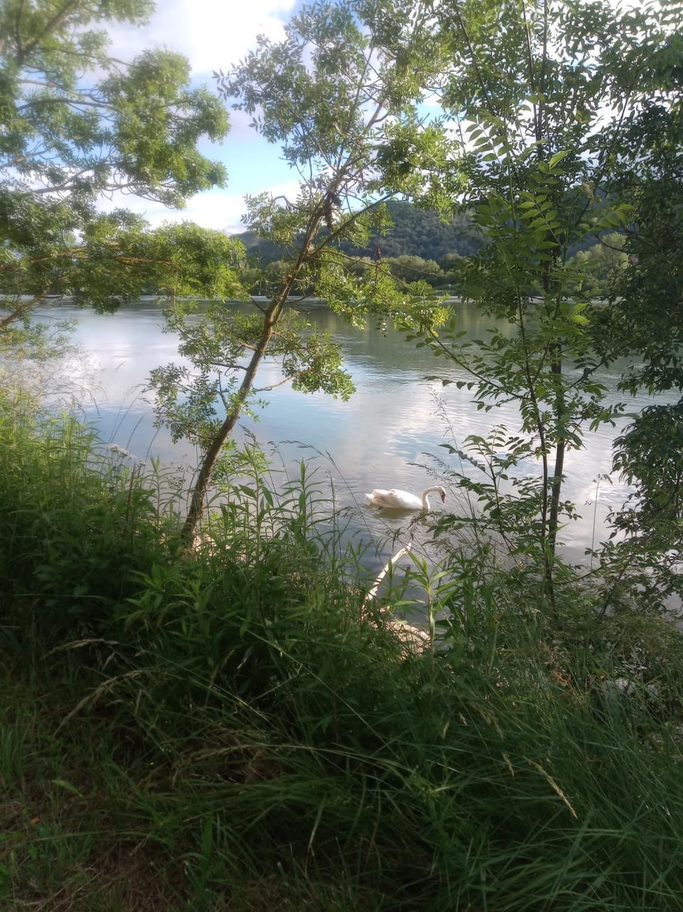 Fishing