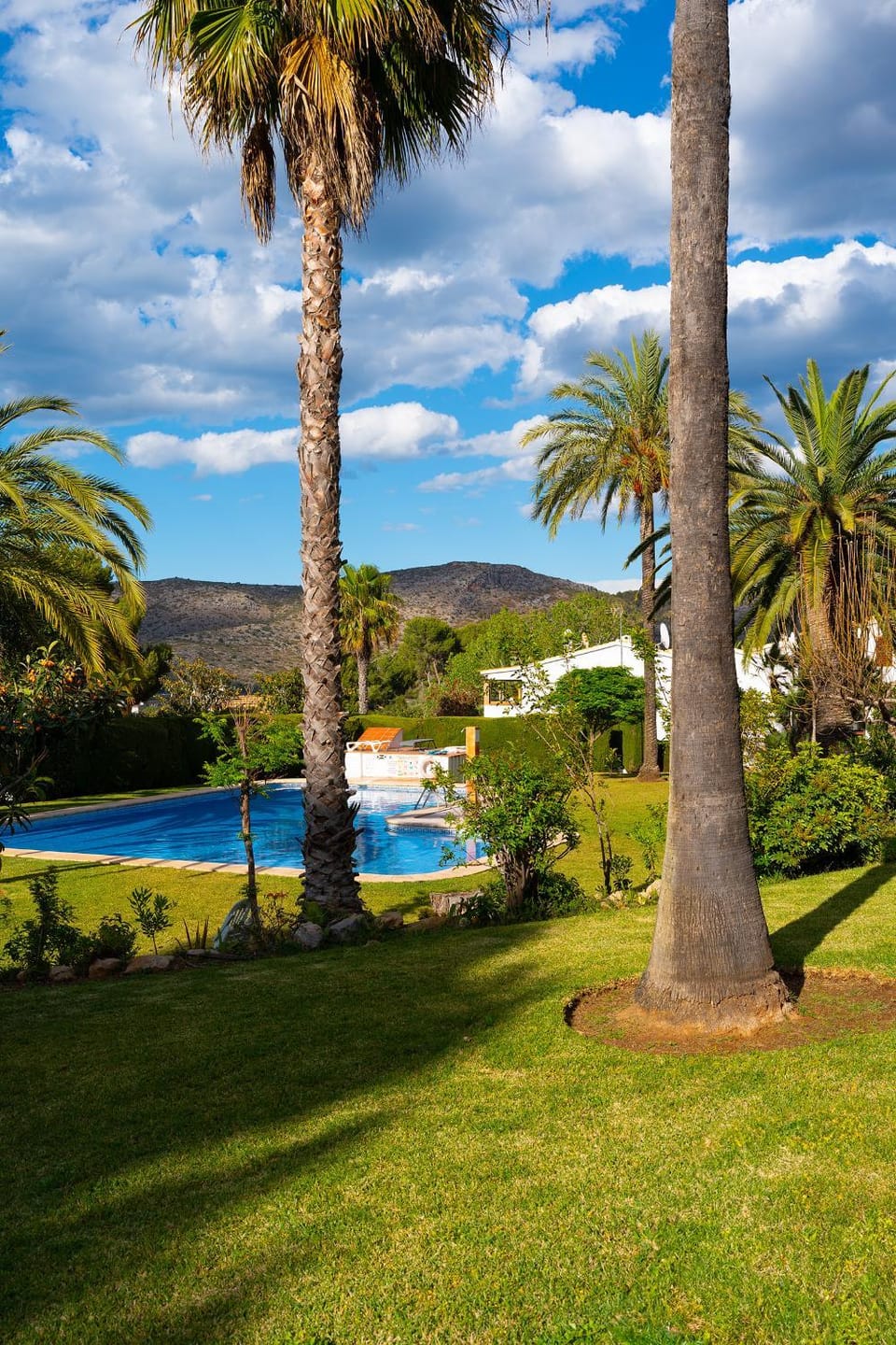 Natural landscape, Garden, Garden view, Mountain view, Pool view, Swimming pool