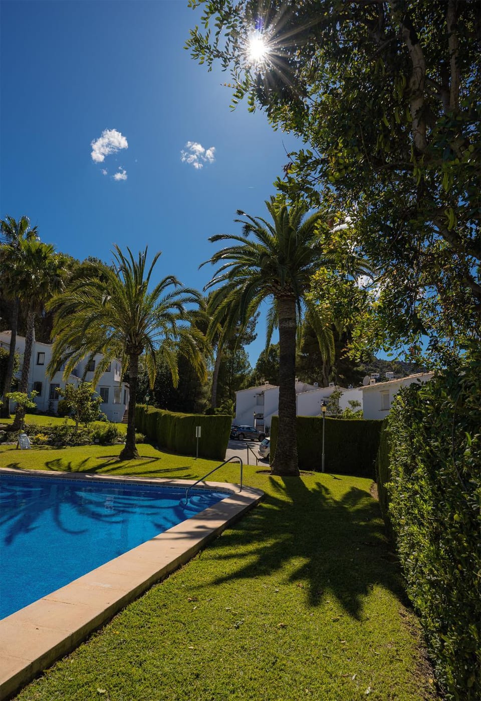 Garden, Garden view, Pool view, Swimming pool