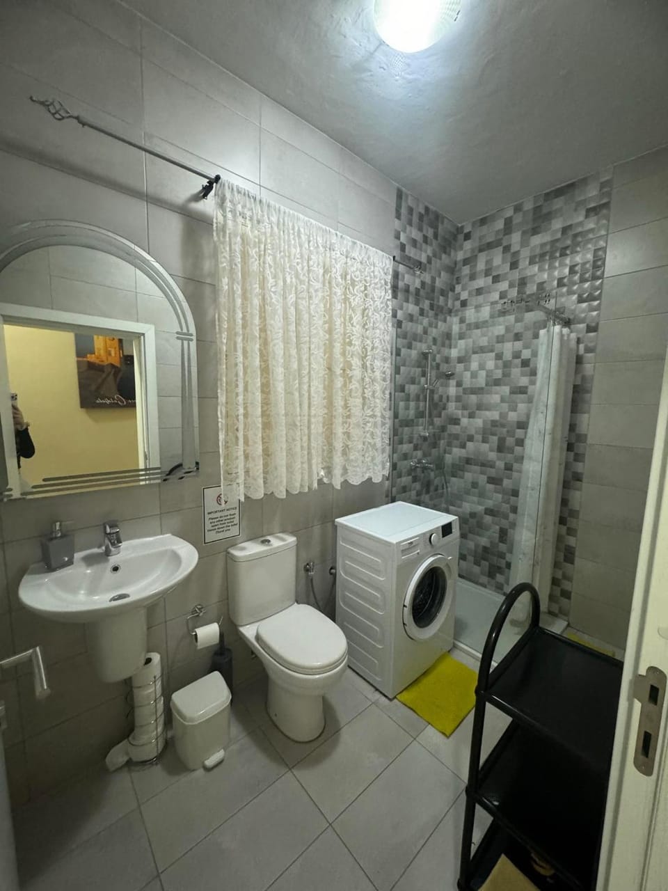 Shower, Toilet, Bathroom, washing machine