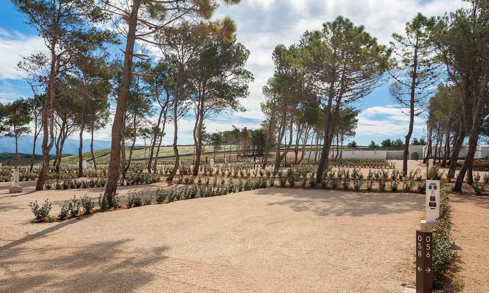 Natural landscape, View (from property/room)