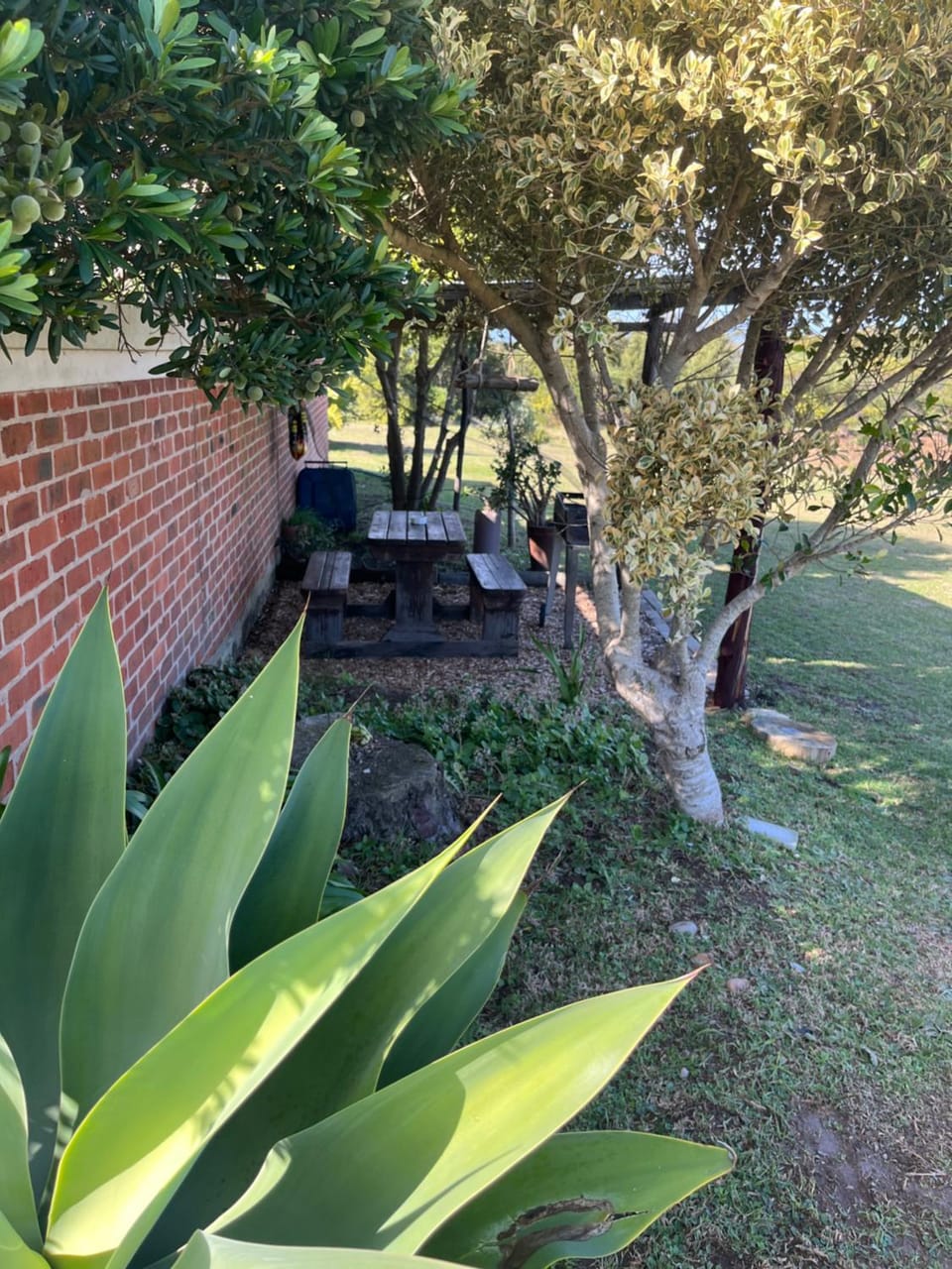 Garden view
