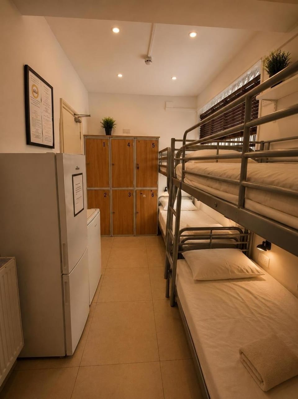 365 London Hostel Hostel in London