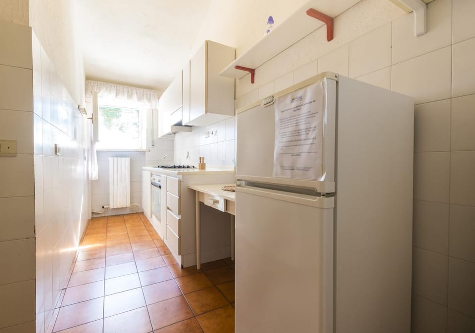 Day, oven, kitchen