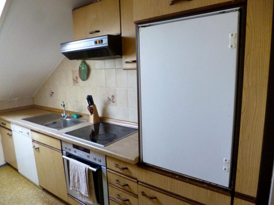 Kitchen or kitchenette, dishwasher, oven, stove