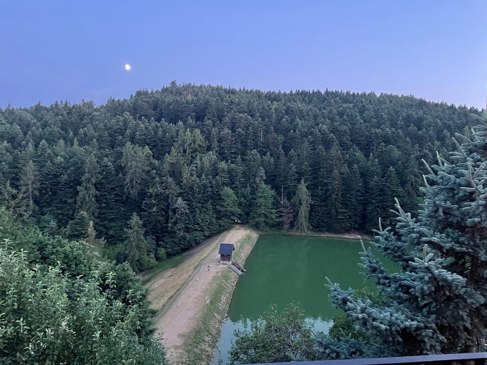 Lake view