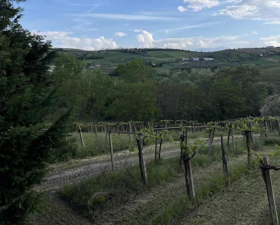 Podere VignaLago Bed and Breakfast in Abruzzo