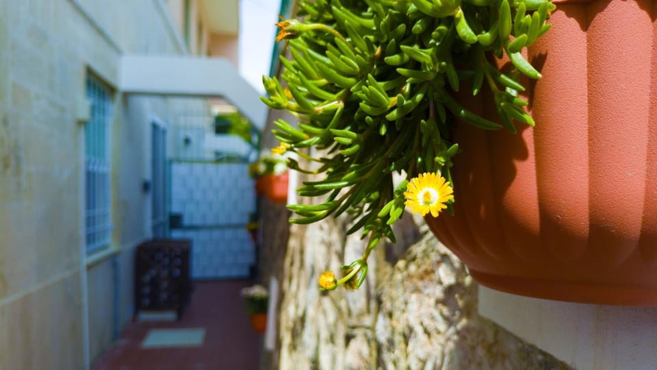 Inner courtyard view